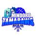 主队