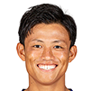 惠灵顿凤凰