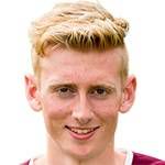 艾比安斯特灵