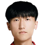 深圳新鹏城
